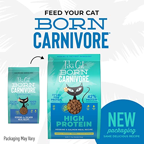 Tiki Cat Born Carnivore High Protein, Herring & Salmon Meal, Grain-Free Baked Kibble to Maximize Nutrients, Dry Cat Food, 11.1 lbs. Bag