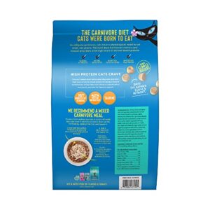 Tiki Cat Born Carnivore High Protein, Herring & Salmon Meal, Grain-Free Baked Kibble to Maximize Nutrients, Dry Cat Food, 11.1 lbs. Bag