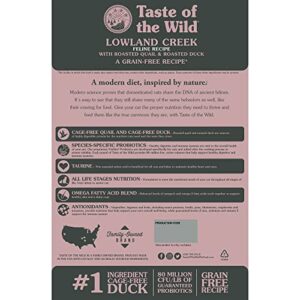 Taste Of The Wild High Protein Real Meat Recipes Premium Dry Cat Food With Superfoods And Nutrients Like Probiotics, Vitamins And Antioxidants For Adult Cats And Kittens