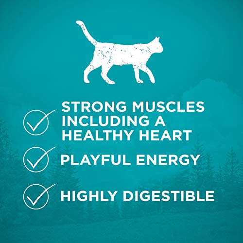 Purina ONE Natural, High Protein, Grain Free Dry Cat Food, True Instinct With Real Ocean Whitefish - 6.3 lb. Bag