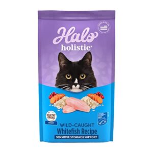 halo holistic cat food dry, wild-caught whitefish recipe for sensitive stomach support, complete digestive health, dry cat food bag, sensitive stomach formula, 3-lb bag