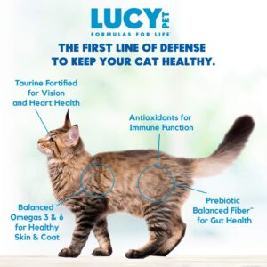 Lucy Pet Products Formulas for Life - Sensitive Stomach & Skin Dry Cat Food, All Breeds & Life Stages - Salmon, Pumpkin, & Quinoa, 4 LB Bag