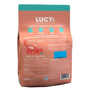 Lucy Pet Products Formulas for Life - Sensitive Stomach & Skin Dry Cat Food, All Breeds & Life Stages - Salmon, Pumpkin, & Quinoa, 4 LB Bag