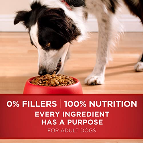 Purina ONE Dry Dog Food Lamb and Rice Formula - 16.5 lb. Bag