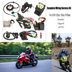 Complete Wiring Harness Kit Electrics ATV Wire Harness Kit with CDI Stator Regulator Ignition Switch Solenoid Relay For GY6 125cc 150cc Pit Bike Scooter ATV Quad Go Kart 4-Stroke Parts by Yolik