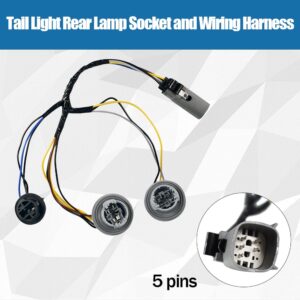 Tail Light Rear Lamp Socket and Wiring Harness 2018-2020 Ford Pickup F150 JL3Z-13412-A Rear Driver and Passenger Side