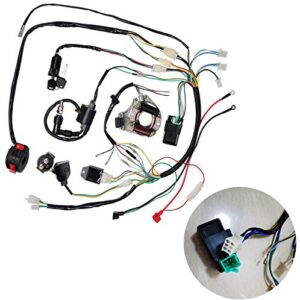 Complete Wiring Harness Kit ATV Wire Harness for Taotao Chinese 4 Wheeler 50cc 70cc 110cc 125cc Pit Quad Dirt Bike Parts with Electrics Stator Coil CDI Solenoid Relay by BOOTOP PIN