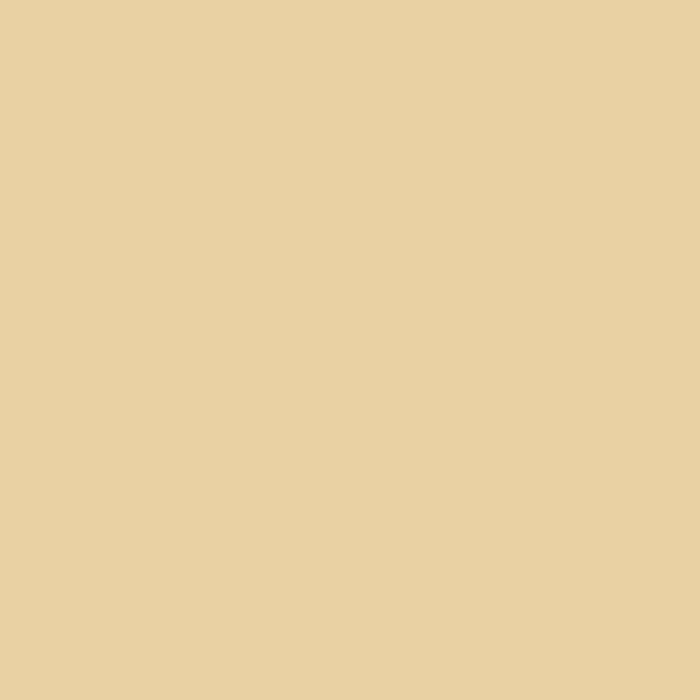 Pantone TPG 8.5X11 Sheet 13-0917 Italian Straw