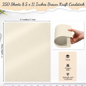 250 Sheets 8.5 x 11 Inch Metallic Paper Shimmer Card Stock 80lb 210 Gsm Double Sided Card Stock Printer Paper for Weddings Birthdays Craft Use Invitations Certificates DIY Cards (Cream)