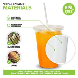 Stock Your Home 16 oz Clear Commercially Compostable Cups with Lids and Straws (Set of 50) Plant Based Cold Cups Eco Party Cup, Environmentally Friendly Recyclable Disposable Sustainable