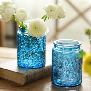 23.7 FL OZ Blue Glass Jars, 2 Pack Vintage Glass Kitchen Storage Counter Jar, Candy Jars with Lids, Blue Mason Jars Hold Coffee Beans, Tea, Cookie, Sugar, Bath Salts & More (Blue)