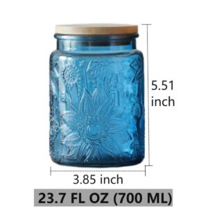 23.7 FL OZ Blue Glass Jars, 2 Pack Vintage Glass Kitchen Storage Counter Jar, Candy Jars with Lids, Blue Mason Jars Hold Coffee Beans, Tea, Cookie, Sugar, Bath Salts & More (Blue)