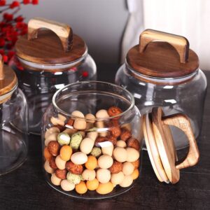 SAIOOL Glass Jars with Airtight Lid [Set of 4],Kitchen Canisters, Borosilicate Glass Storage Containers,Retro Design, Glass jars for Candy,Cookie,Rice,Sugar,Flour, Flour,Pasta,Nuts and Spice Jars