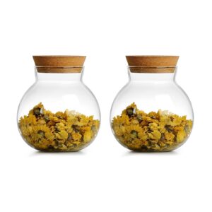 dnienkge spherical glass jar with cork lid airtight - 17oz candy jar kitchen glass jar - for preserving and storing coffee, spice, beans, sugar, apothecary etc 2pcs