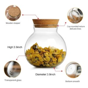 DNIENKGE Spherical Glass Jar With Cork Lid Airtight - 17oz Candy Jar Kitchen Glass Jar - for Preserving and Storing Coffee, Spice, Beans, Sugar, Apothecary etc 2PCS