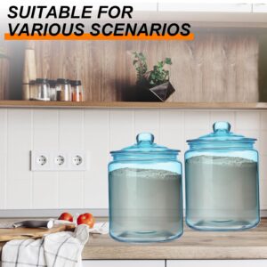 Tioncy 2 Pcs 1 Gallon Cookie Jar Glass Jars Apothecary Storage Glass Containers with Lids Large Clear Airtight Glass Canisters with Labels for Kitchen Laundry for Cookie Candy Sugar Flour (Blue)