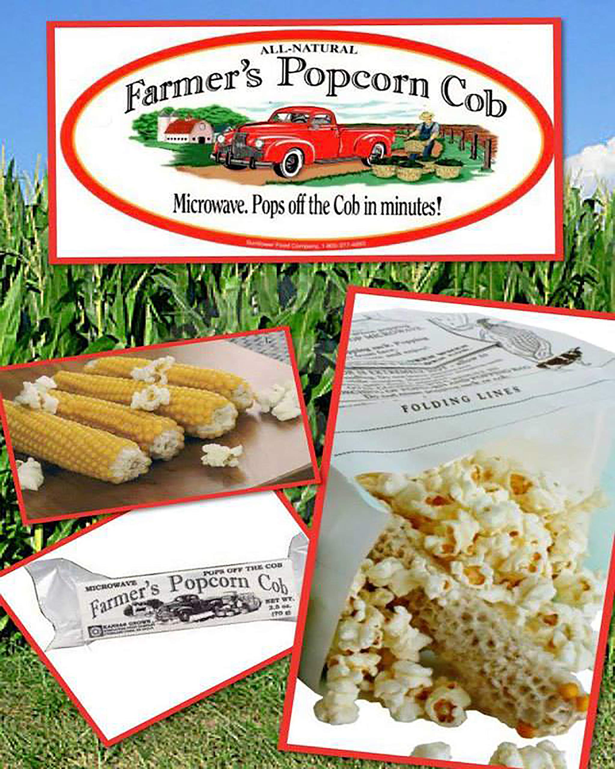 Farmers Popcorn Cob – Microwave Popcorn That Pops Off the Cob - Pack of 3 - All Natural, No Additives, Kansas Grown, Non-GMO Popcorn - 2.5 Ounce