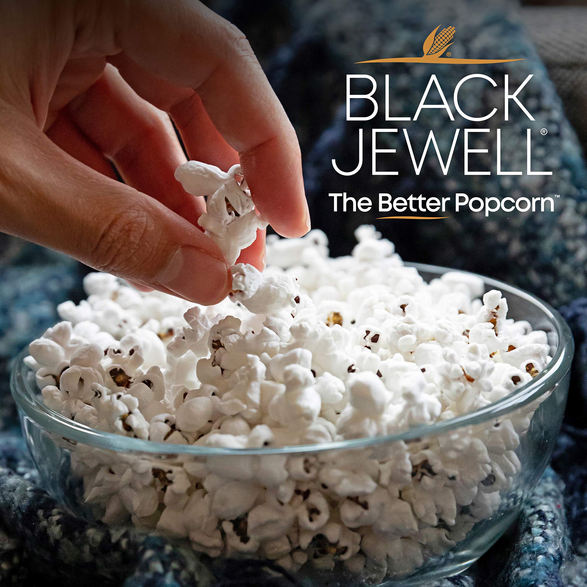 Black Jewell Popcorn Kernels 15 Ounces 15 Ounce (Pack of 4)