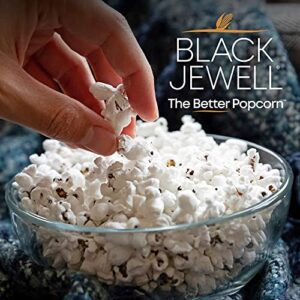 Black Jewell Gourmet Popcorn, Healthy Popcorn Snack, No Salt No Oil, 8.7 Ounces (Pack of 6)