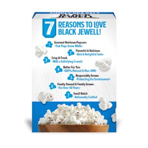 Black Jewell Gourmet Microwave Popcorn, Simply Sea Salt, 10.5 Ounces (Pack of 6)