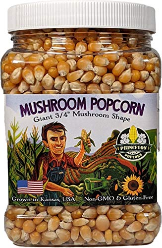 Mushroom Popcorn Kernels by Princeton Popcorn - Farmer Direct, Non-GMO, Gluten Free, UnPopped, Ball Shaped, Old Fashion Popcorn Pops Extra Large popcorn kernels, mushroom popcorn kernels for popping for Air Popper & Stovetop 32oz