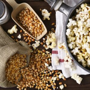 Amish Country Popcorn | Ballpark ButterSalt Popcorn Salt - 16 oz Bottle