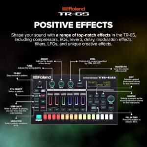 ROLAND (tr-6s)