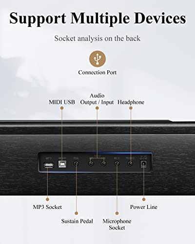 Keyboard Piano, Eastar 61 Key Keyboard for Beginners/Professional, Full Size Electric Piano, Classic Wooden Digital Keyboard with Sustain Pedal & Music Stand, Supports MP3/USB/Audio/Mic/Headphones
