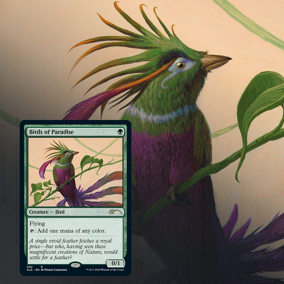 Magic: The Gathering Secret Lair: MTG Summer Superdrop Ornithological Studies