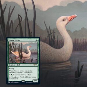 Magic: The Gathering Secret Lair: MTG Summer Superdrop Ornithological Studies