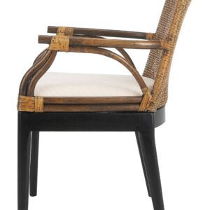 Safavieh Home Gianni Rattan Tropical Woven Arm Chair, Brown/Black