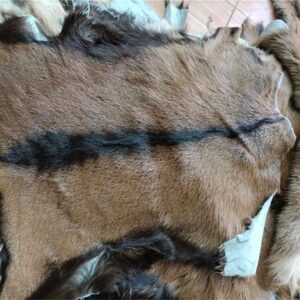 Real Antelope Goat Hide Fur Skin Pelt Fur Sheepskin Leather Fur Skin Clothing Accessories 1pcs (Approx 16"X20")