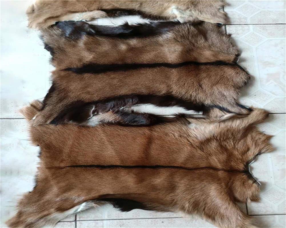 Real Antelope Goat Hide Fur Skin Pelt Fur Sheepskin Leather Fur Skin Clothing Accessories 1pcs (Approx 16"X20")