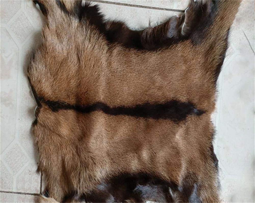 Real Antelope Goat Hide Fur Skin Pelt Fur Sheepskin Leather Fur Skin Clothing Accessories 1pcs (Approx 16"X20")