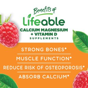 Lifeable Calcium, Magnesium, Zinc and Vitamin D Gummies - Great Tasting Natural Flavor Vitamin Supplements - Gluten Free GMO Free Chewable - for Bone Health - for Adults, Man, Women - 90 Gummies