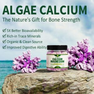 Plant Based Calcium Supplement 600mg with Vitamin D3 K2, Zinc for Bone Strength, Sustainably Sourced Algae Calcium Magnesium 2:1 Ratio, Sugar Free Calcium Gummies 70+ Trace Minerals, Vegan, 60 Counts