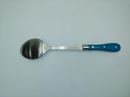 The Pioneer Woman Basting Spoon Large Stainless Steel Teal Handle 14" Long