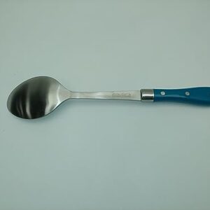 The Pioneer Woman Basting Spoon Large Stainless Steel Teal Handle 14" Long