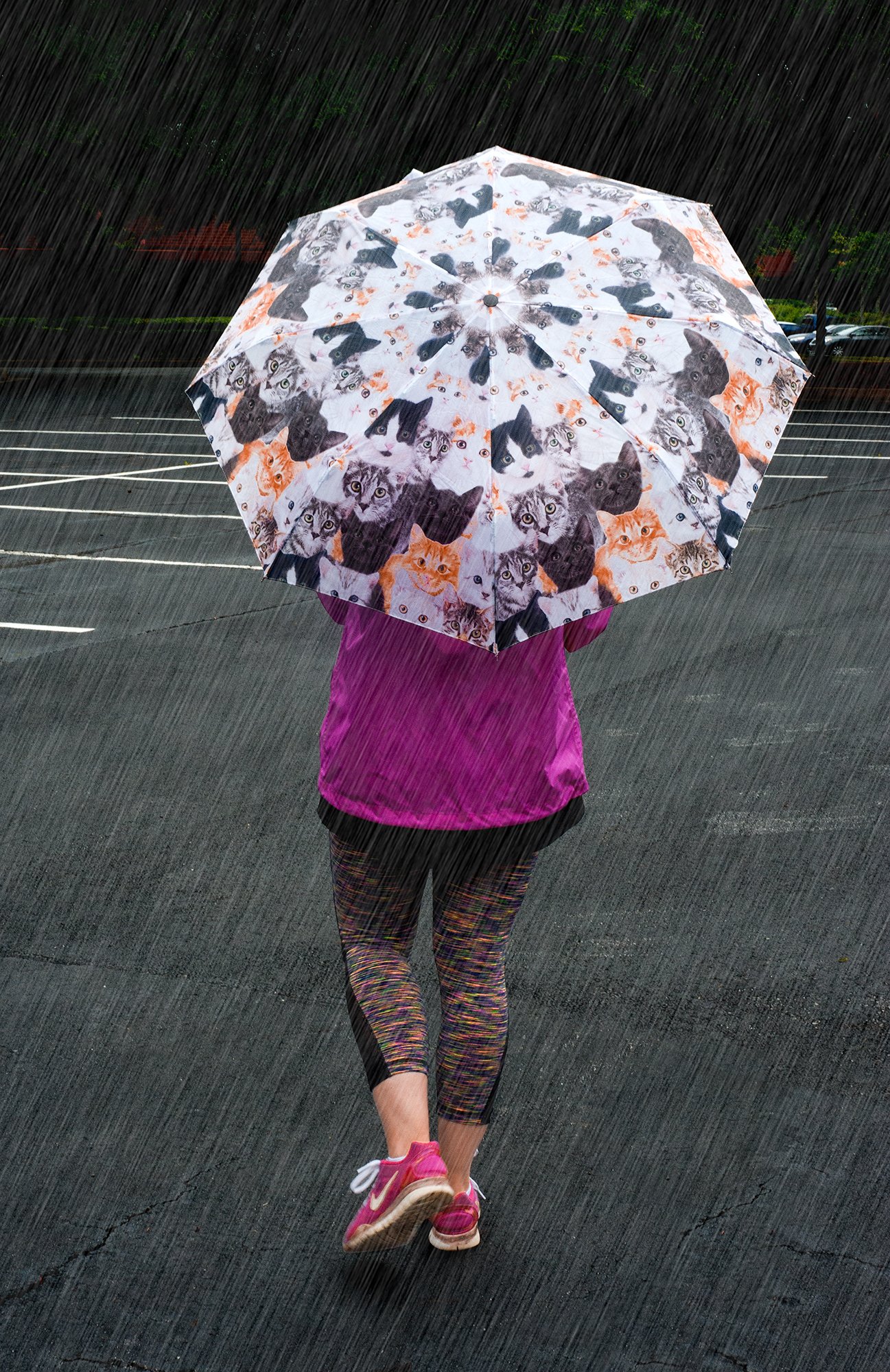 The Paragon Cat Umbrella - Compact & Portable Accessory with Photo-Realistic Kitty Images