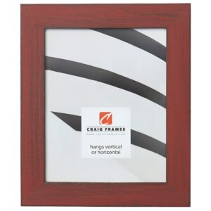 craig frames b923 jasper picture frame, 16" x 20", country alabama red