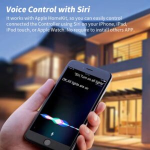 DoHome Homekit WiFi Relay Switch, Smart Relay Wireless Remote Control Light Switch Voice Control Outlet Timer Work with Siri, Alexa and Google Assistant DIY Your Home 2 Pack (Square)