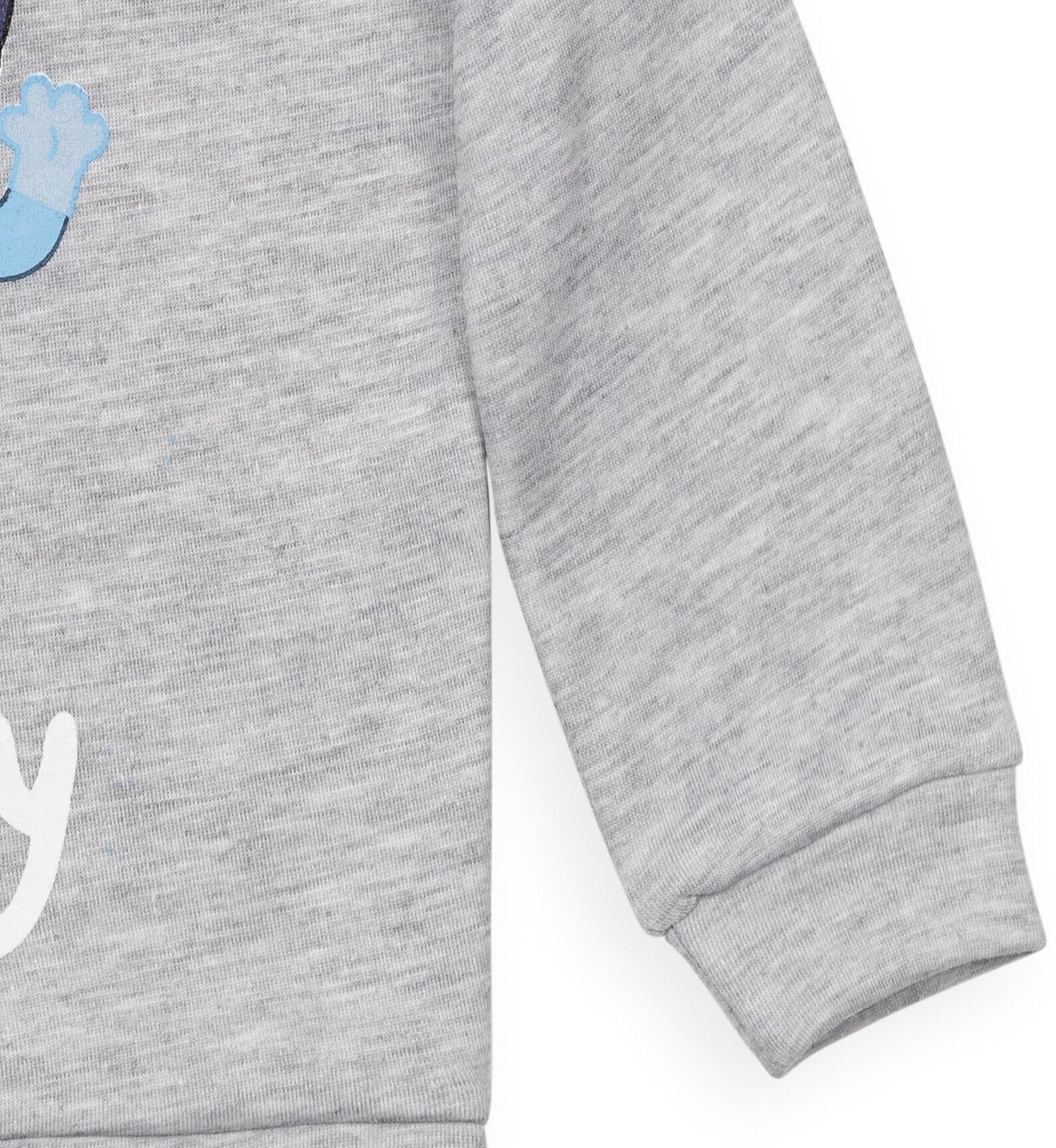 Bluey Toddler Boys Fleece Hoodie and Pants Outfit Set Grey/Blue 2T