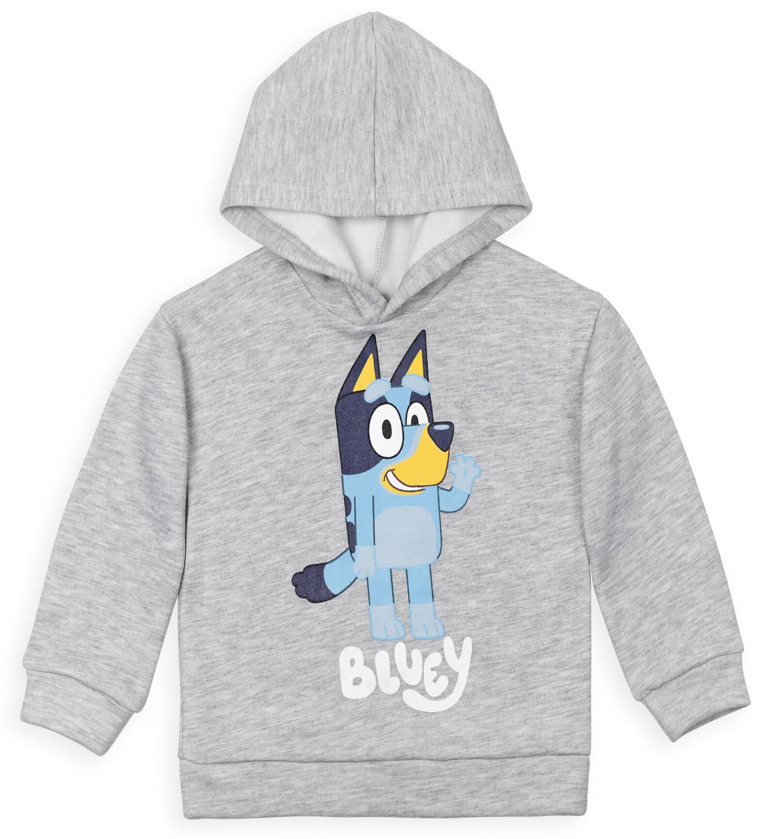 Bluey Toddler Boys Fleece Hoodie and Pants Outfit Set Grey/Blue 2T