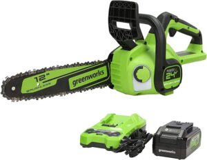 greenworks 24v 12" brushless cordless compact chainsaw (great for storm clean-up, pruning, and firewood / 125+ compatible tools), 4.0ah battery and charger included