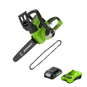 greenworks 24v 10" chainsaw, 2.0ah usb battery and charger with extra chain