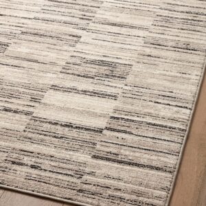 Loloi II Darby Collection DAR-01 Charcoal/Sand 6'-7" x 9'-3" Area Rug