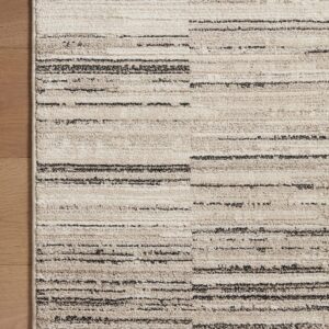 Loloi II Darby Collection DAR-01 Charcoal/Sand 6'-7" x 9'-3" Area Rug