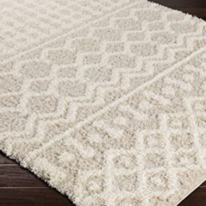 Livabliss Hapsburg Moroccan Shag Area Rug, 8'10" x 12', Beige