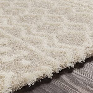 Livabliss Hapsburg Moroccan Shag Area Rug, 8'10" x 12', Beige