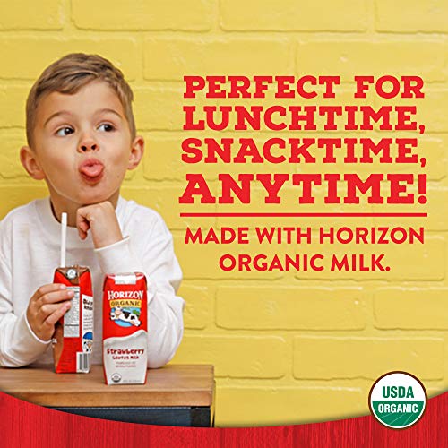 Horizon Organic Horizon Organic Shelf-Stable Whole Milk Boxes, Whole Milk Single Serve, 8 oz, 6 Pack, 8.0 fl oz (Pack of 6)